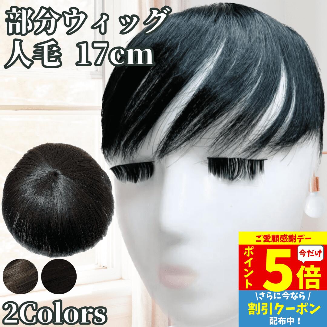【11/18限定 全品ポイント5倍】 部分ウィッグ ヘアピース トップカバー 増毛かつら トップピース トップウィッグ カバーピース かつら 男性 女性 カツラ ウイッグ メンズ レディース ポイントピース 薄毛 脱毛 医療用 部分カツラ つむじ 頭頂部 人毛 ショート 円形脱毛 白髪
