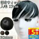 【P5倍還元 ワンダフルデー】 部分ウィッグ ヘアピース トップカバー 増毛かつら トップピース トップウィッグ カバーピース かつら 男性 女性 カツラ ウイッグ メンズ レディース ポイントピース 薄毛 脱毛 医療用 部分カツラ つむじ 頭頂部 人毛 ショート 円形脱毛 白髪