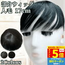 【P5倍&クーポン マラソン限定】 部分ウィッグ ヘアピース トップカバー 増毛かつら トップピース トップウィッグ カバーピース かつら 男性 女性 カツラ ...