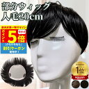 【P5倍&クーポン マラソン限定】 部分ウィッグ ヘアピース 人毛100% トップカバー 増毛かつら トップウィッグ カバーピース ポイントピース トップピース...