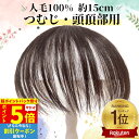 【P5倍 超ポイントバック祭】 部分ウィッグ ヘアピース トップカバー 増毛かつら トップピース トップウィッグ カバーピース かつら 男性 女性 カツラ ウイッグ メンズ レディース ポイントピース 薄毛 脱毛 医療用 部分カツラ つむじ 頭頂部 人毛 ショート 円形脱毛 白髪