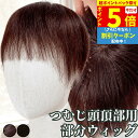 【P5倍 超ポイントバック祭】 部分ウィッグ トップカバー 増毛かつら トップウィッグ カバーピース ヘアピース かつら 男性 女性 ウイッグ メンズ レディー...