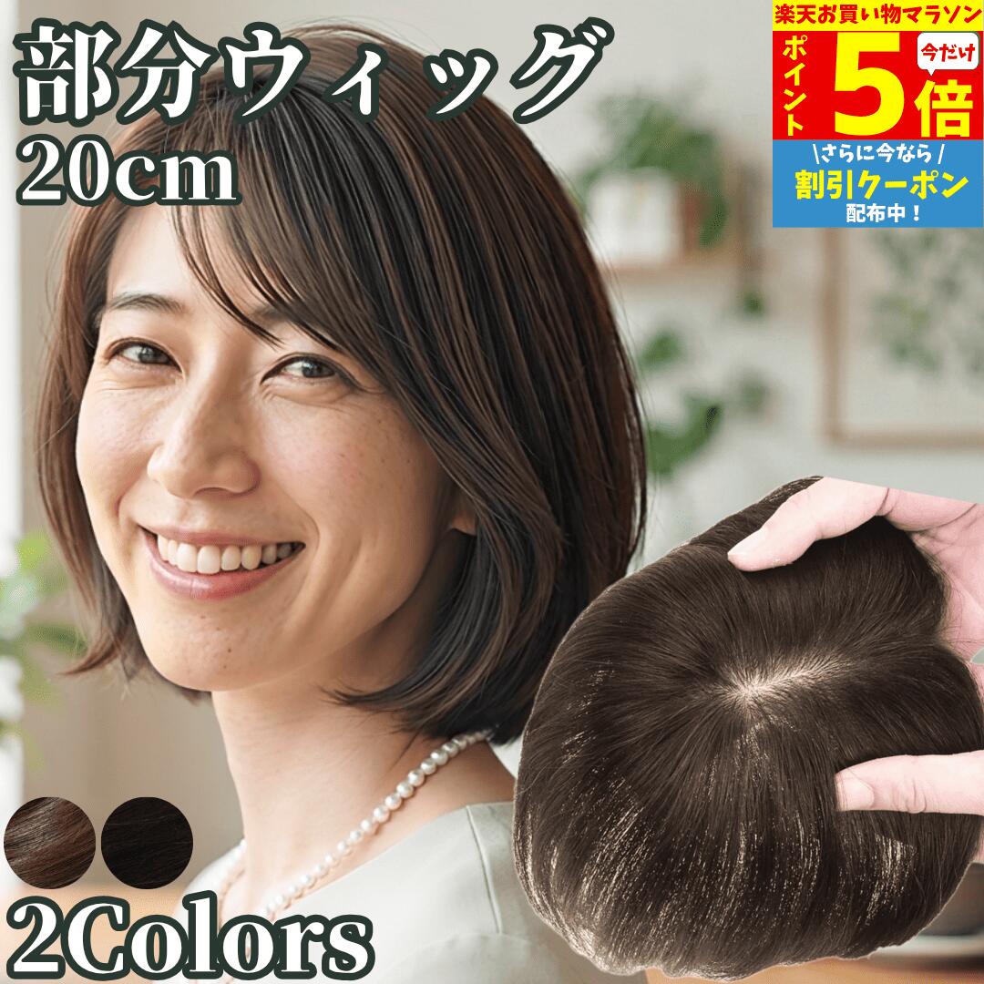楽天市場】つむじ 分け目 ヘアピースの通販