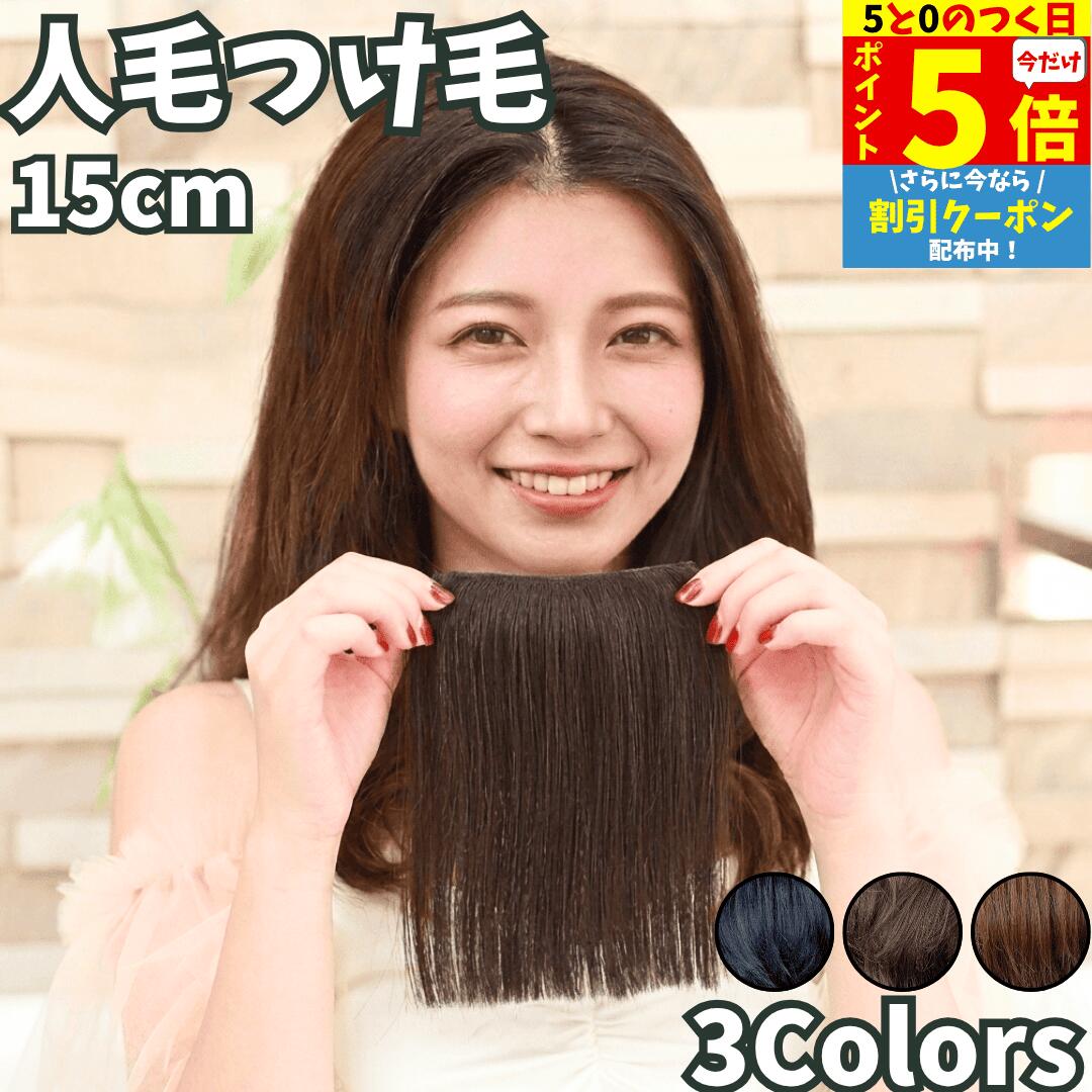 【9/15限定 ポイント5倍】 部分エクステ つけ毛 ミニ ワンタッチ ポイントウィッグ エクステ 人毛100% 部分ウィッグ …