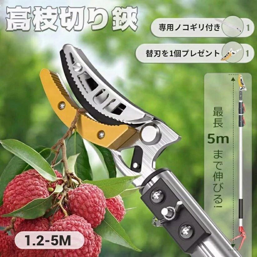 商品説明 商品特徴 高い場所の枝切り作業をサポートする伸縮式高枝切りばさみです 脚立を使わず、立ったまま庭木のお手入れができます 家庭菜園やガーデニング、果樹のお手入れにおすすめです 伸縮式で便利 伸縮可能な設計で、高い枝にも届きやすい仕様です 作業場所に合わせて使いやすい長さで調整できます 庭木のお手入れに活躍 庭木、果樹、植木などの剪定作業に便利 日常の園芸メンテナンスを快適にサポートします 軽量設計 持ちやすい設計で、長時間の作業でも扱いやすい剪定工具です おすすめポイント ・高い枝の剪定に便利 ・伸縮式で使いやすい ・庭木や果樹のお手入れにおすすめ ・家庭用ガーデニング工具として活躍 ・立ったまま作業可能 商品仕様 商品名：伸縮式高枝切りばさみ 用途：庭木・果樹・園芸用 タイプ：剪定用ハサミ 材質：金属・樹脂 注意事項 ※使用前に各部の固定状態をご確認ください ※硬い枝や使用範囲を超える作業には使用しないでください ※モニター環境により色味が異なる場合があります商品説明 商品特徴 高い場所の枝切り作業をサポートする伸縮式高枝切りばさみです 脚立を使わず、立ったまま庭木のお手入れができます 家庭菜園やガーデニング、果樹のお手入れにおすすめです 伸縮式で便利 伸縮可能な設計で、高い枝にも届きやすい仕様です 作業場所に合わせて使いやすい長さで調整できます 庭木のお手入れに活躍 庭木、果樹、植木などの剪定作業に便利 日常の園芸メンテナンスを快適にサポートします 軽量設計 持ちやすい設計で、長時間の作業でも扱いやすい剪定工具です おすすめポイント ・高い枝の剪定に便利 ・伸縮式で使いやすい ・庭木や果樹のお手入れにおすすめ ・家庭用ガーデニング工具として活躍 ・立ったまま作業可能 商品仕様 商品名：伸縮式高枝切りばさみ 用途：庭木・果樹・園芸用 タイプ：剪定用ハサミ 材質：金属・樹脂 注意事項 ※使用前に各部の固定状態をご確認ください ※硬い枝や使用範囲を超える作業には使用しないでください ※モニター環境により色味が異なる場合があります