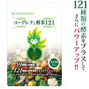 【3袋購入毎に 1袋プレゼント】『ユーグレナと酵素121 (100粒) ＜約1ヶ月分＞』 【メール便】☆ ミドリムシのちから ユーグレナ含有量220mg 121種類の酵素(植物発酵エキス) みどりむし コエンザイムQ10 乳酸菌 ☆