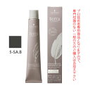 シュワルツコフ テラ by エッセンシティ サンドブラウン 5-SA.B 85g (第1剤) 医薬部外品