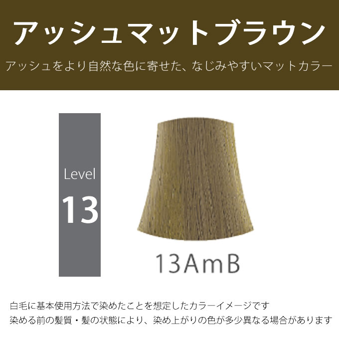 サンコール ヘアカラー RUU ルー 13AmB 80g （第1剤） 医薬部外品 2