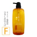 yjcƁ x CI NWO tbVg  Vv[  600mL { Lebel shampoo Tꔄi Z[ wAPA 