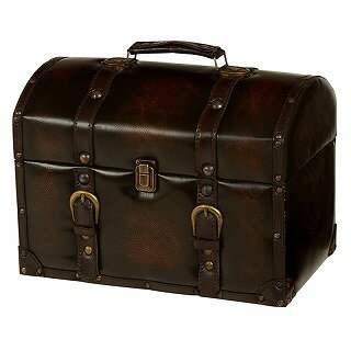 チェスターシリーズ　トランク　（ライトブラウン）(3)