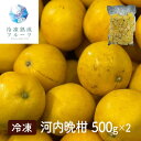 河内晩柑 500g×2パック / 冷凍フルーツ デザート みかん ミカン オレンジ
