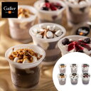 【在庫限り】ガレー チョコレートアイスパルフェ 6個 (旧ロゴ商品) / 訳あり アイス パフェ
