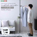 つっぱりポールハンガー フック大小1個セット