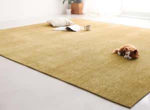Silk - ラグ 表情豊かな撥水機能付きシェニールラグ 200×250cm