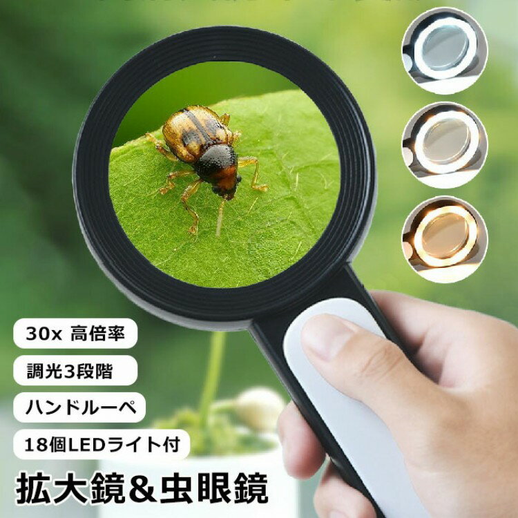 30 Ψ  LED饤դ  롼 ϥɥ롼 䤹  Ĵ3ʳ 롼 18LED饤 ɽ롼  ...