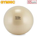 バランスボール ギムニク Gymnic 65cm フィットボール 65 アンチバースト 95.06 パールホワイト Fit-Ball 65 BRQ ヨガ 体幹 ...