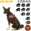 ꥦʥ Julius-K9 IDC ѥϡͥ  淿 Mini Mini / Mini 4067cm  ϡͥ   IDC Powerharness