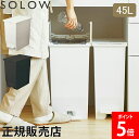ソロウ SOLOW ゴミ箱 ごみ箱 ダストボックス 45L ペダルオープンツイン GSLW00 ペダル付き キャスター付き スリム 角型 キッチン おしゃれ あす楽
