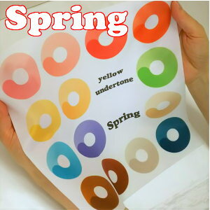 パーソナルカラー　色見本　スウォッチ　布　シーズン別　グラデーションタイプ　30センチサイズ　ブルべ/イエベ　スプリング　サマー　オータム　ウィンター　春夏秋冬