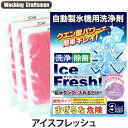 Washing Craftsman ウォッシング クラフトマン アイスフレッシュ 10g 3回分 自動製氷機用洗浄剤/製氷機洗剤/除菌/給水タンク 