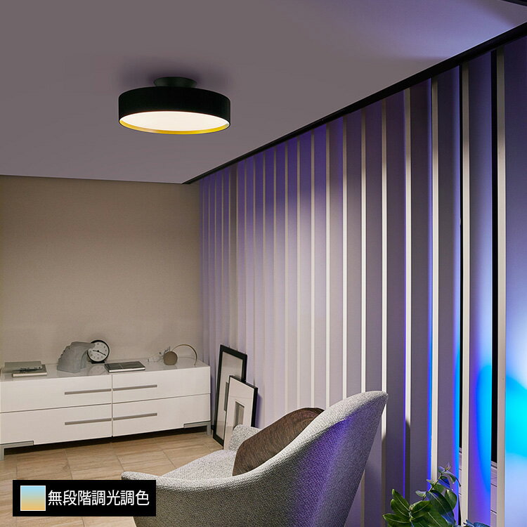 樂天商城 - アートワークスタジオ グロー LED シーリング LED内蔵型 〜約8畳 AW-0555E