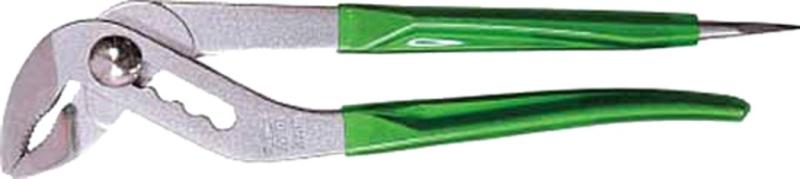 エビ アンギラススケ