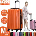 【1000円OFFクーポン発行中!2/20 AM9:59まで】【送料無料 2年修理保証】キャリーバッグ mサイズ スーツケース キャリーケース 超軽量 m 軽量 メンズ レディース 子供用 修学旅行 ファスナー 軽い 旅行バッグ ビジネス