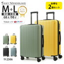 【最大50%OFFクーポン配布中】スーツケース 2点セット M Lサイズ 中型 大型 軽量 キャリーケース TSAロック付き ハードケース 静音キャスター 修学...
