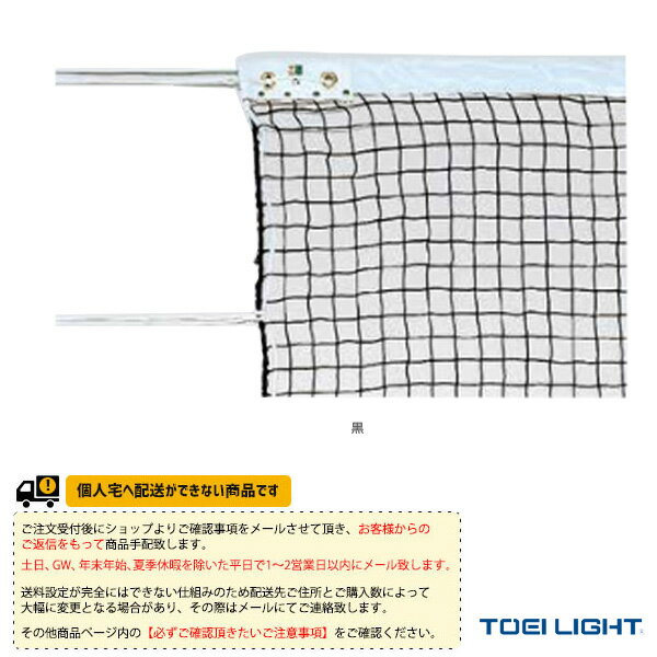 [送料別途]ソフトテニスネット／普及タイプ（B-2172）《TOEI(トーエイ) ソフトテニスコート用品》