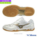 ウエーブファングプロ WAVE FANG PRO ユニセックス 71GA2100《ミズノ バドミントンシューズ》