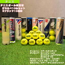 【送料無料】テニスボール練習球打ち比べ10缶セット／5ブランド10種類《ラケプラオリジナル テニス ボール》