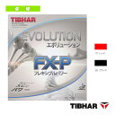 G{[VFX-P^EVOLUTION FX-PiTJR103jseBo[ 싅 o[t