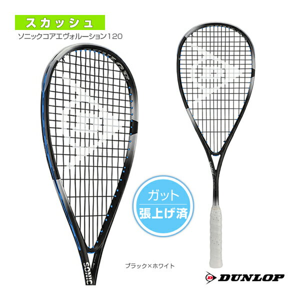 フィラ ピックルボール パドル ラケット ファイバーグラス ピッケルボール パドル Fila Fiberglass Pickleball Paddle