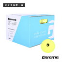 ライブラリアン フォームボール LIBRARIAN FOAM BALL 48P 48個入 1E805869 ガンマ ピックルボールボール