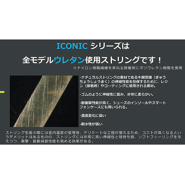 アイコニックタッチ ICONIC TOUCH 200mロール DSTA32011 ダンロップ テニスストリ...