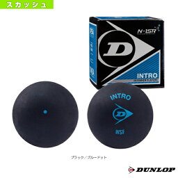 INTRO／イントロ／1球（DA50032）《ダンロップ スカッシュ ボール》