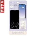 モモンガ iPhone 16 / 15 / 15 Pro / 14 / 14 Pro / 13 / 13 Pro 対応 ガラススクリーンプロテクター ちいかわ CK-60D