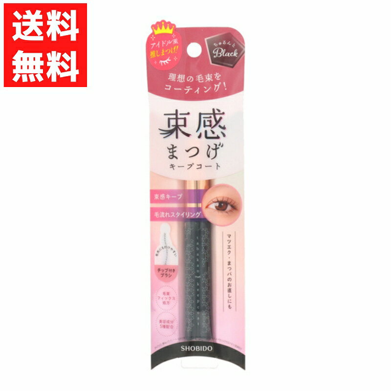 束感まつげ キープコート ちゅるんとブラック 毛束キープ マツエク まつパ お直し チップ付きブラシ カーブブラシ 美容成分 コーティング