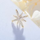 ブローチ 六芒星 ブローチ 北欧 ブローチ アンティーク ブローチ 花 ブローチピン コサージュ 動物 ブローチ ピンバッジ ブローチ かわいい 母の日 クリスマス 入学式 卒業式 キュービックジルコニア 18K コーティング(4)
