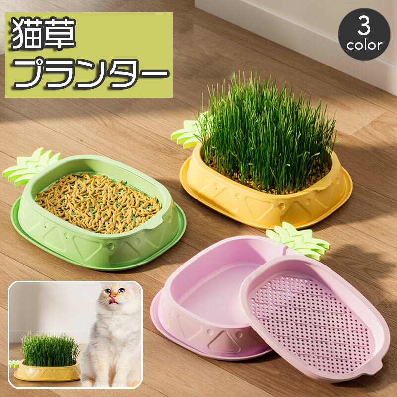 パイナップル型がかわいい猫草栽培用のプランター。土を使わずに水耕栽培ができて屋内使用にピッタリです☆ 【サイズについて】画像をご参照ください。 【カラーについて】生産ロットにより柄の出方や色の濃淡が異なる場合がございます。お使いのモニターや撮影時の光の加減などにより画像と実際の商品のカラーが異なる場合もございます。予告なしにカラーやデザインなどの変更がある場合もございます。 【素材について】プラスチック