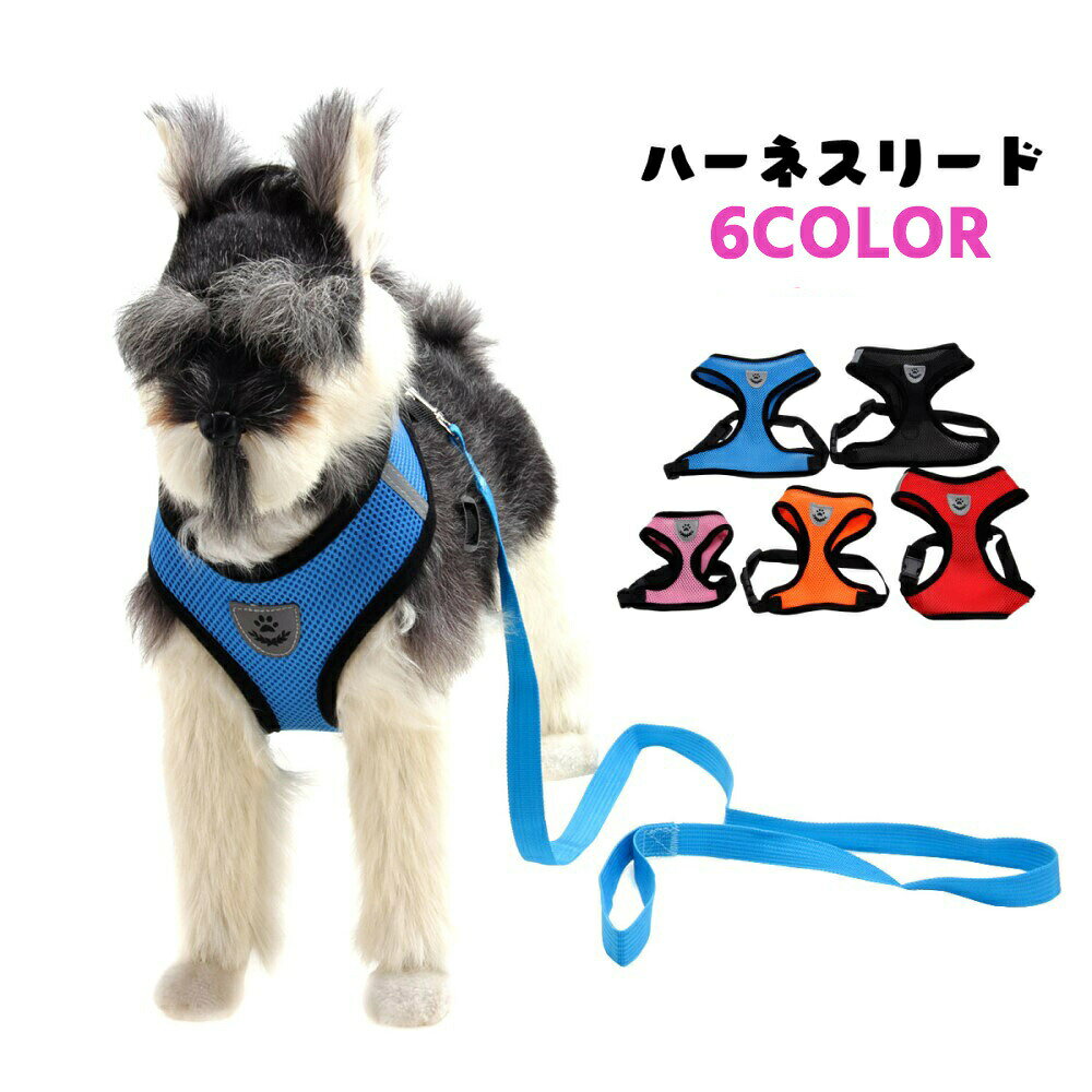 ハーネスリード 2点セット イヌ 小型犬 中型犬 ペット用品 ペットグッズ プラバックル メッシュ ロゴ ピンク ブルー ブラック シンプル かわいい キュート お散歩