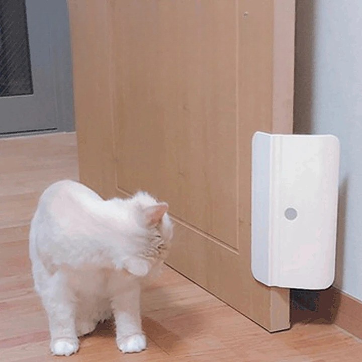BACKYARD FAMILY 雑貨タウンのペットドア 半自動 簡単設置 工事不要 ペット用品 犬 猫 穴あけ不要 開け閉め 出入口 冷暖房対策 空調対策 ドア ドッグ キャット｜アングル3