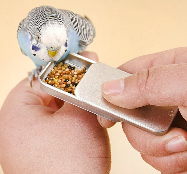 鳥用フードボックス バードフィーダー 給餌器 挿し餌 エサ入れ 虫入れ スライド式 ...