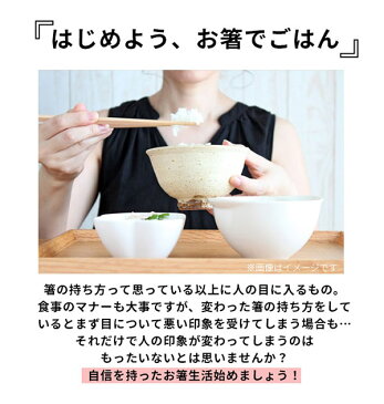 エジソンのお箸3 EDISONmama エジソンママ 定番 成人 男性 左手用 左利き用 右手用 右利き用 大人用 リング付き 矯正箸 トレーニング箸 矯正躾箸 しつけ箸 カトラリー お箸練習 練習用箸 練習箸 矯正躾箸 マナー テーブルマナー 黄色 イエロー 緑 グリーン はし 箸 お箸