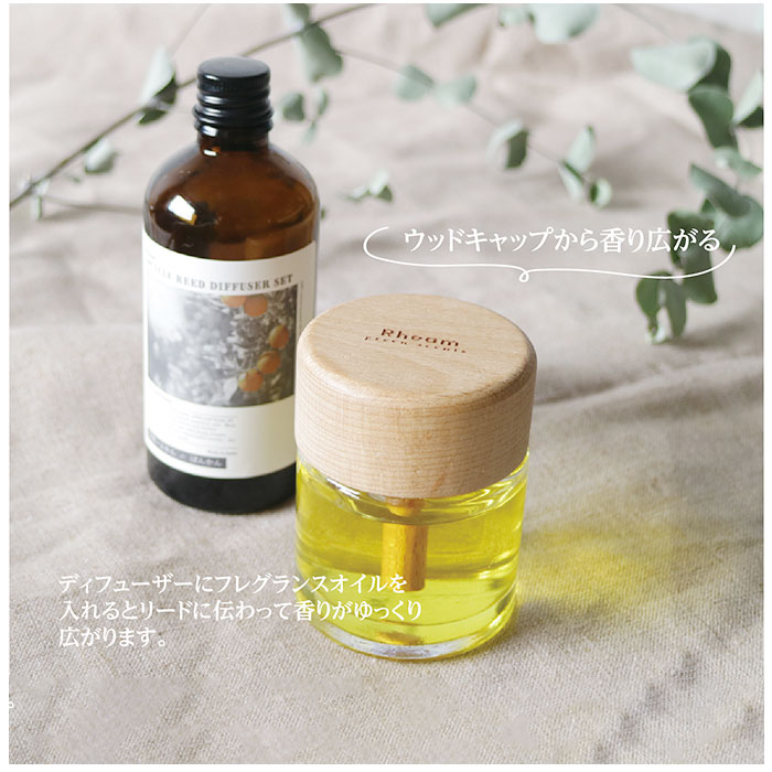 �꡼�� �ǥ��ե塼���� ���å� ���� ���åץ������� �꡼�ɥ֥��å��ǥ��ե塼�������å� �꡼�ɥǥ��ե塼���� �֥��å��ǥ��ե塼���� �����ޥǥ��ե塼���� �����ޥ����� ���� ŷ������ �ƴ� ���å��� ���å� ����� ���ե� ����ƥꥢ �������Х륢����