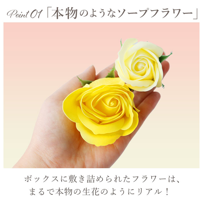 �����ץե� �ܥå��� ���� �Х��ե쥰��� �ݥ���ܥå��� ����� �֤η� �֤Ӥ� ¤�� ���ե� �ץ����ե� £��ʪ �и� ���ä��� �Х����� �Х����å� ����� ���ˤ� ����ƥꥢ