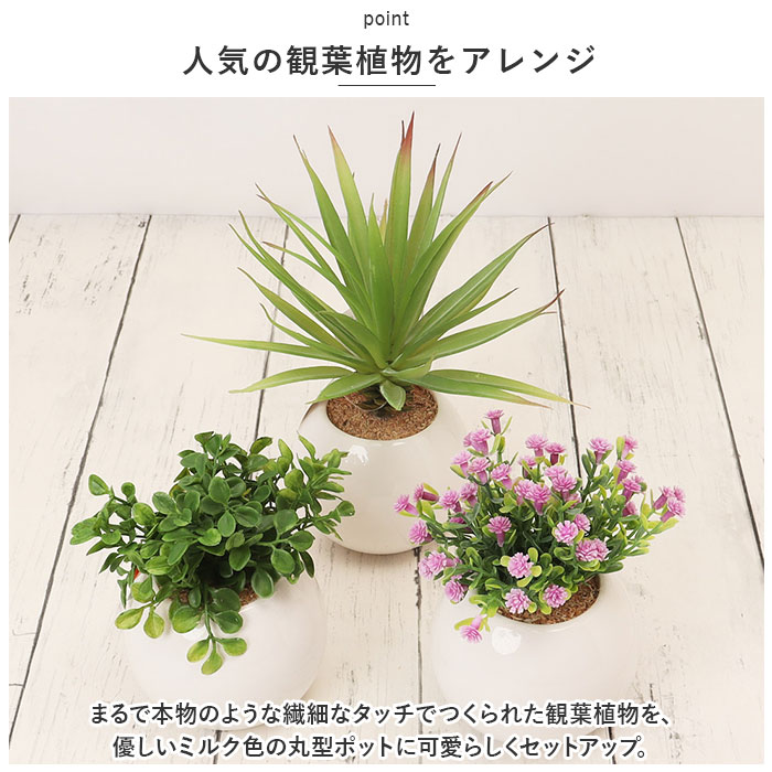 ������ �ե��������꡼�� ���� CT���� �饦��ɥݥå�L ���տ�ʪ �ե����� ��� ������ �ý� ���� �ɱ� �������� ���ߥơ�����󥰥꡼�� ��ӥ� ���� ������� ���襤�� ������ ����ƥꥢ ����