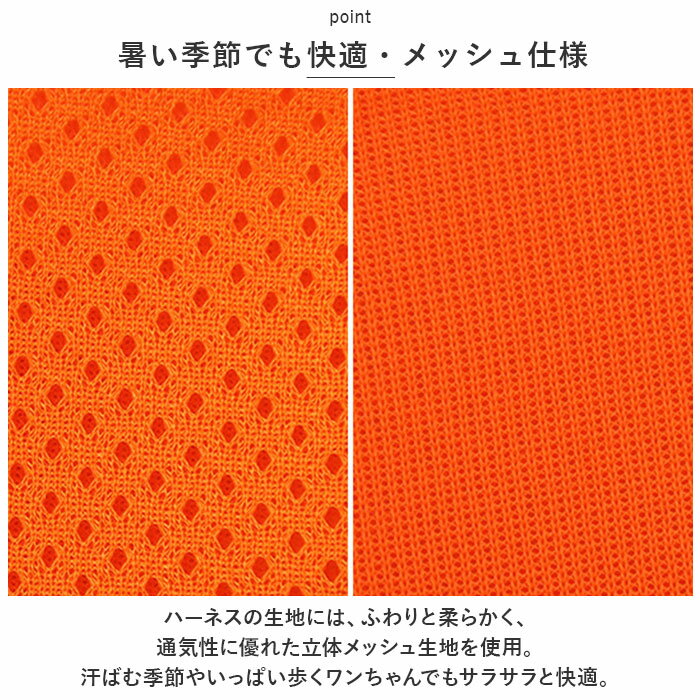 ���ϡ��ͥ��꡼�ɥ��å� ���� �ɥå��ϡ��ͥ� ��å���ϡ��ͥ� �ϡ��ͥ� �� ���� ƹ�� �꡼���դ� �̵��� ȿ���� ��ñ���� ������ �淿�� �緿�� ǭ �ͥ� ������ ���Ф��� ������� ���襤�� �ڥå����� ����