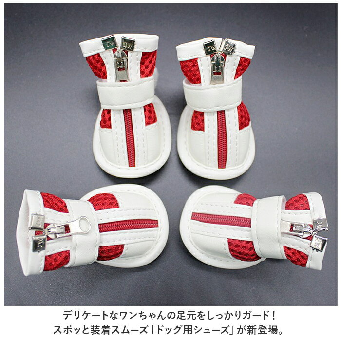サンプル画像2