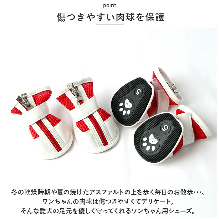 サンプル画像3